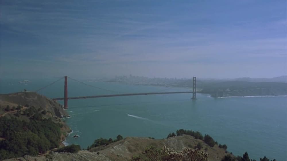 ザ・ルームの画像