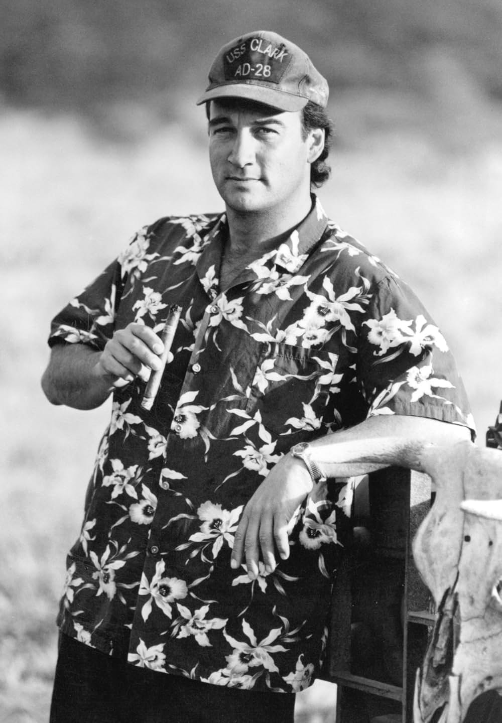 レース・ザ・サンの画像