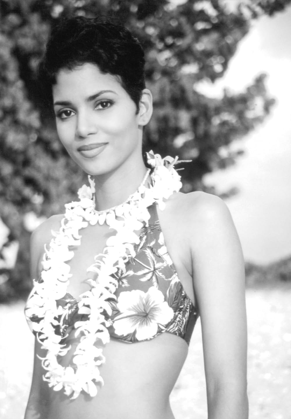 レース・ザ・サンの画像