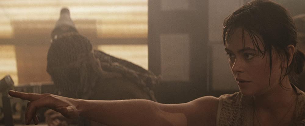 パトリオット・ゲームの画像