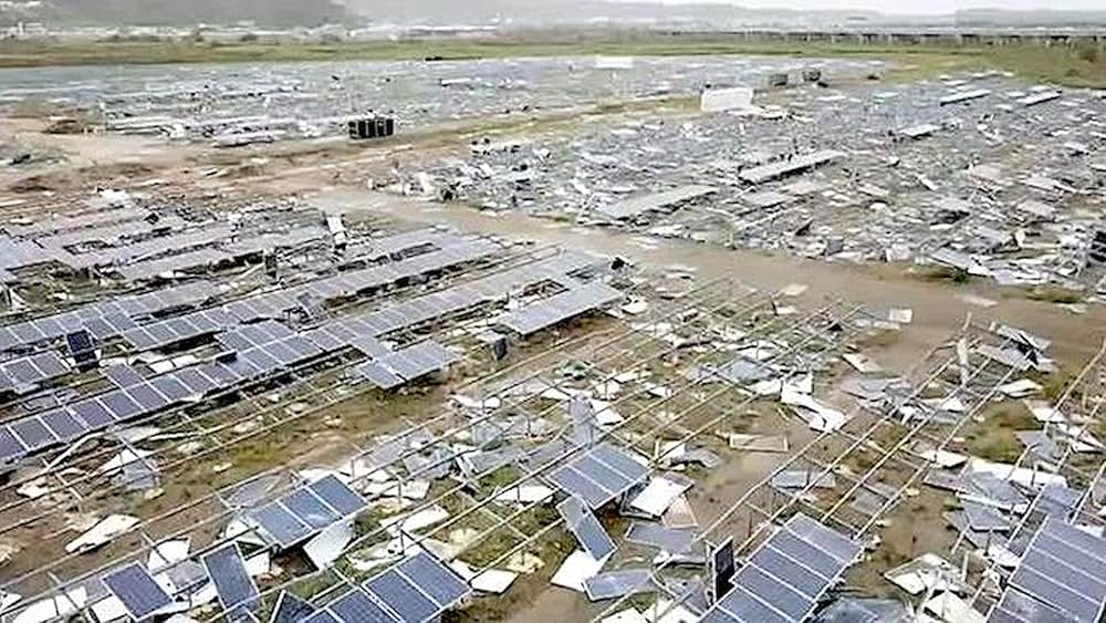 Planet of the humans（原題）の画像