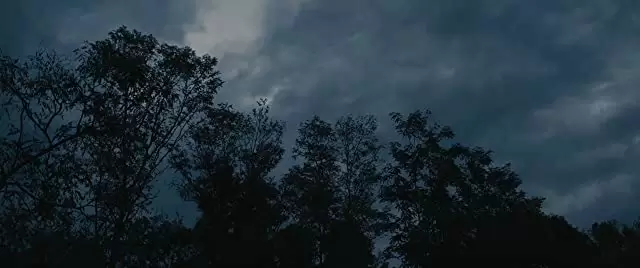 ブルー・リベンジの画像