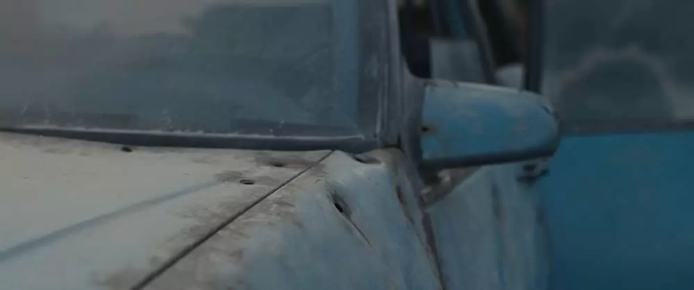 ブルー・リベンジの画像