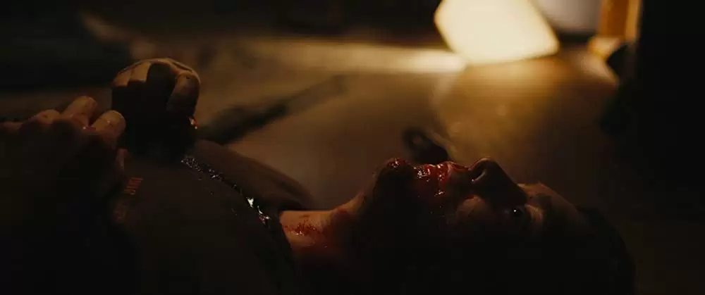 ブルー・リベンジの画像