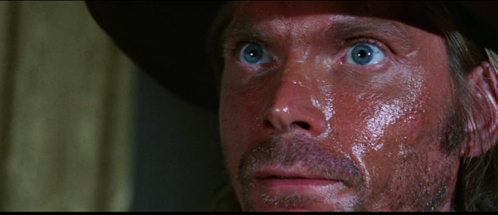 俺はサルタナ/銃と棺桶の交換の画像