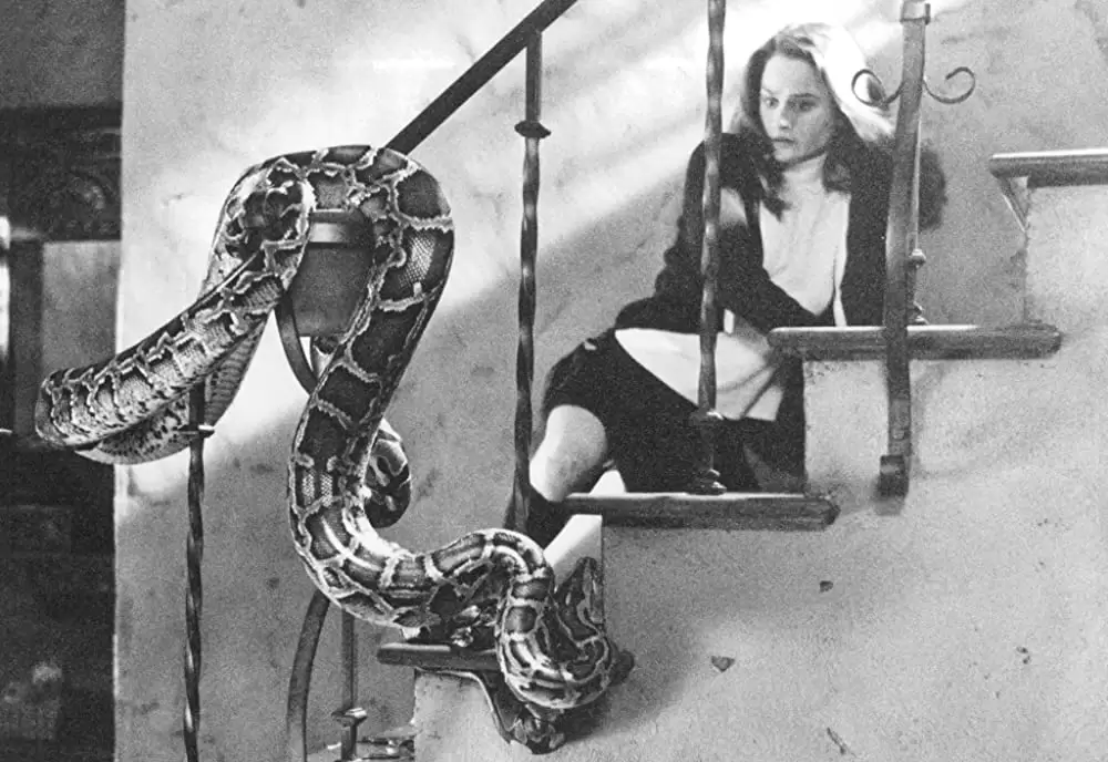 ザ・クラフトの画像