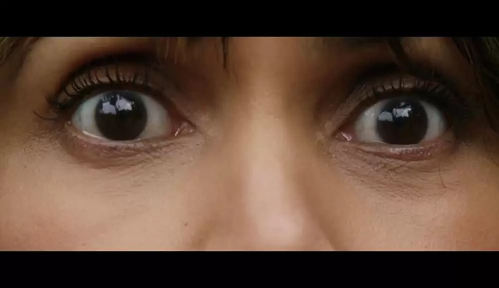 「チェイサー」ハル・ベリーの画像