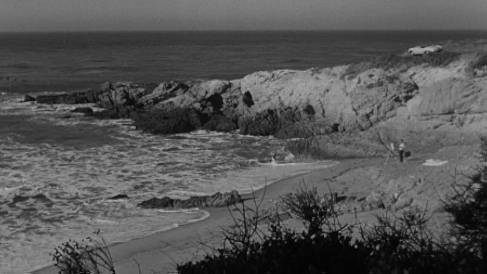 地球侵略 27日目の画像