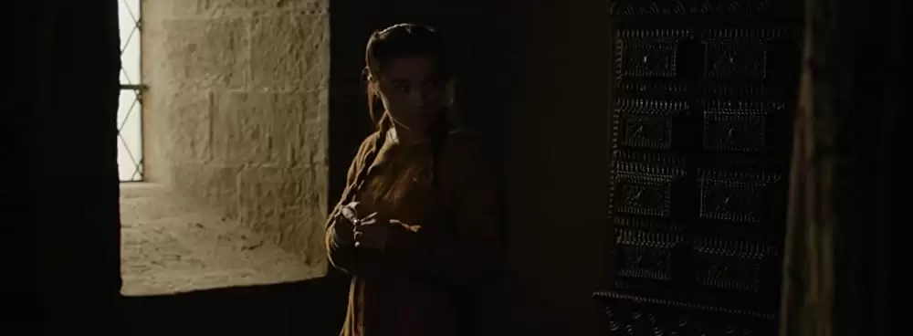 アウトロー・キング ～スコットランドの英雄～の画像