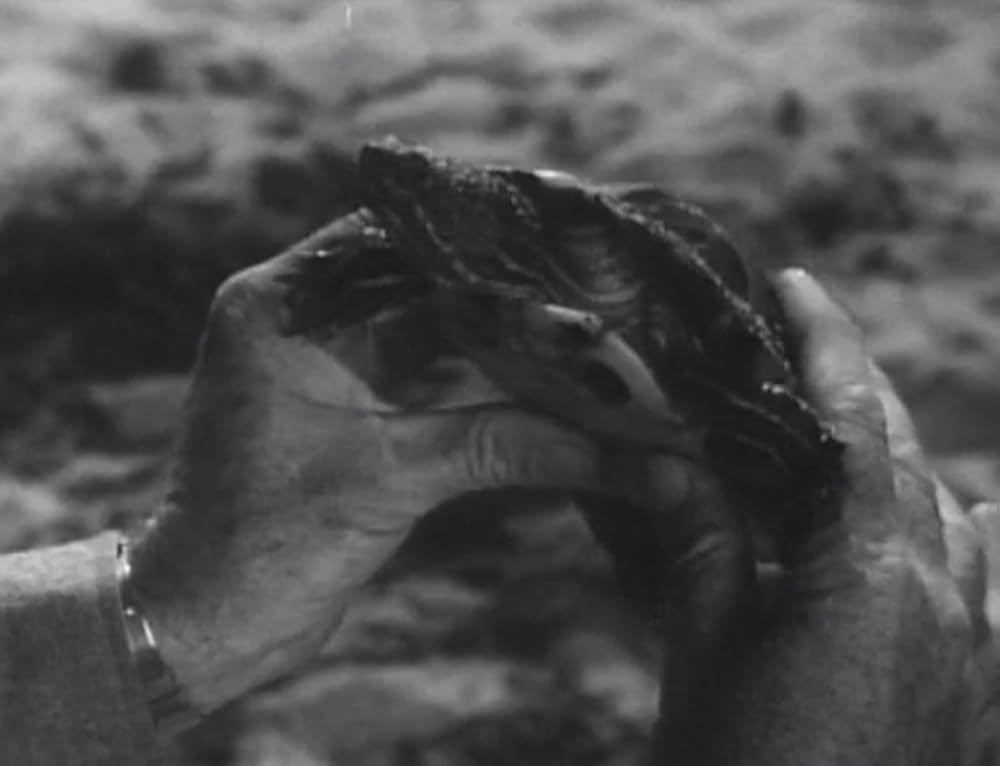 海底１万リーグからの妖獣の画像