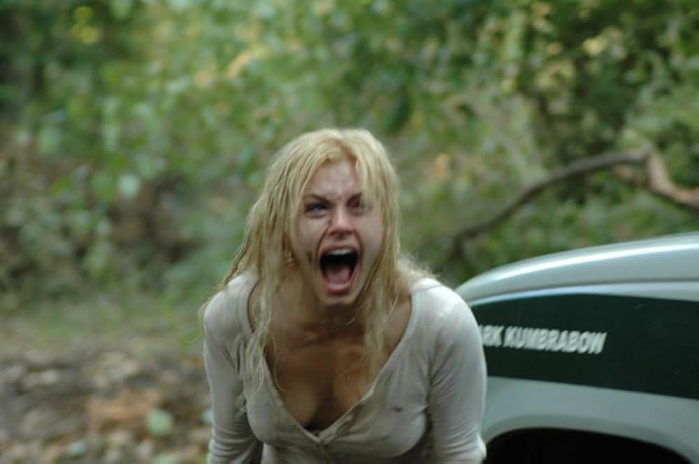 Timber Falls（原題）の画像