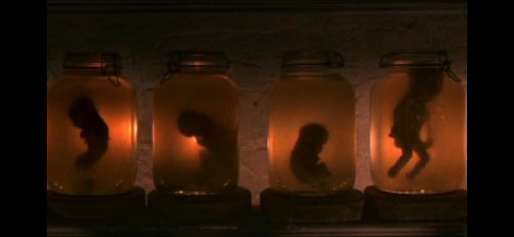 Timber Falls（原題）の画像