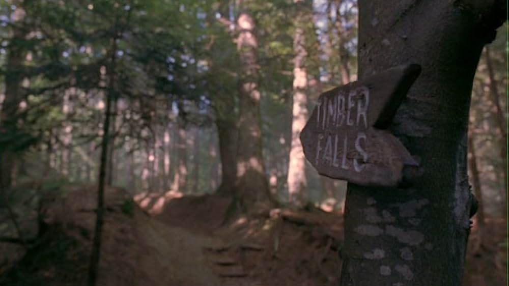 「Timber Falls（原題）」の画像
