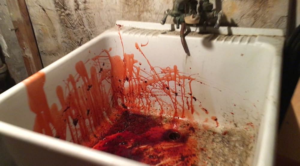 Human Hibachi（原題）の写真