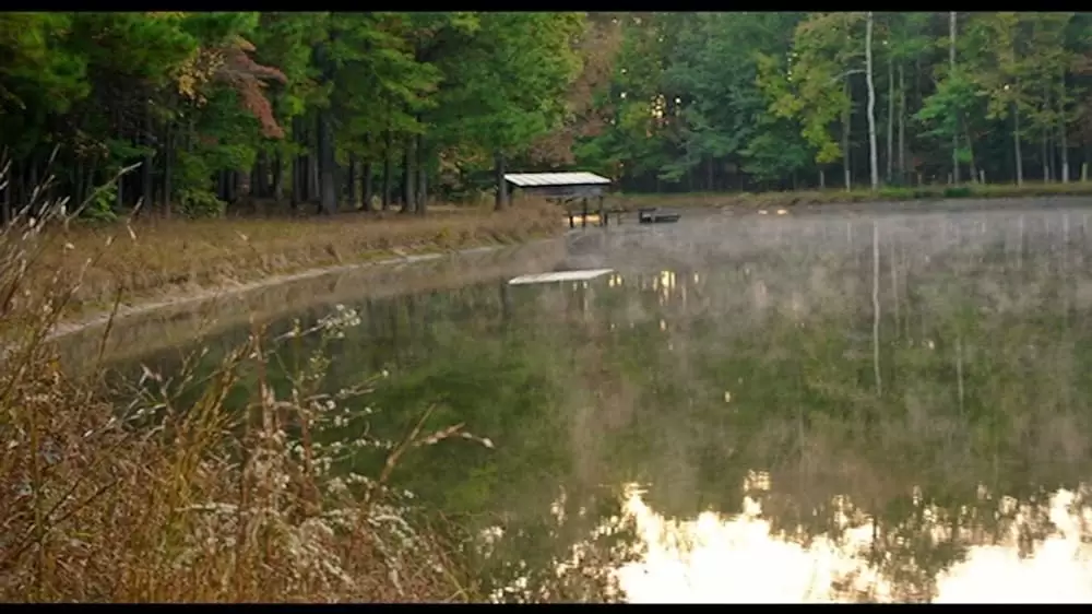 サボタージュの画像