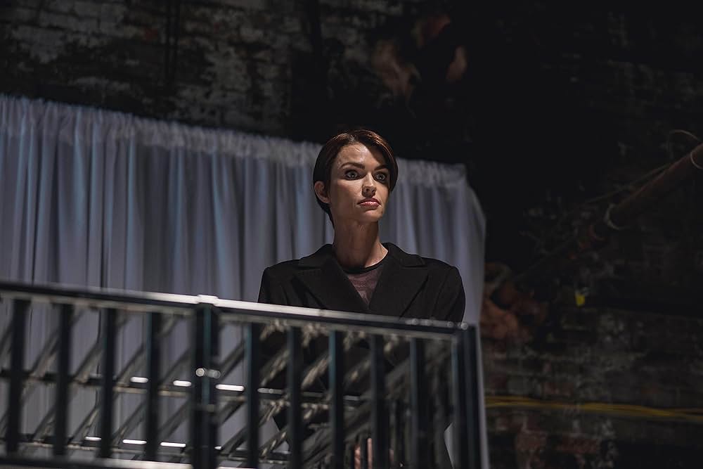 The Collective（原題）の画像