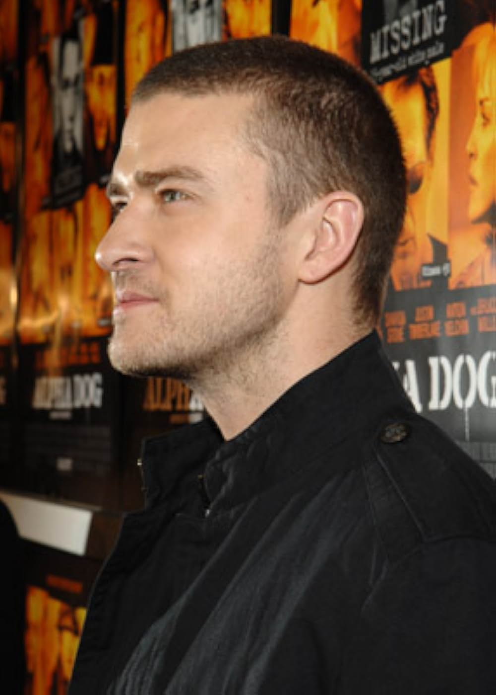 アルファ・ドッグ 破滅へのカウントダウンの画像