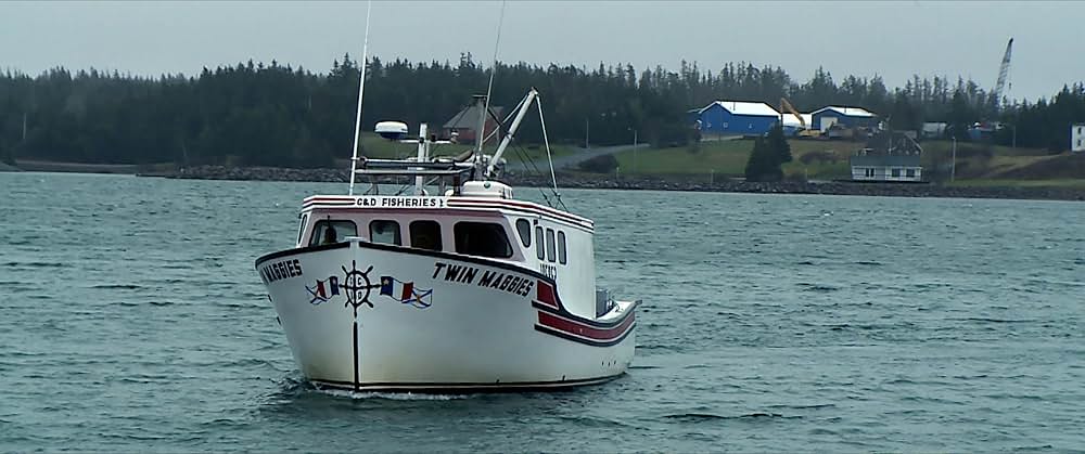 入り江の殺人の写真