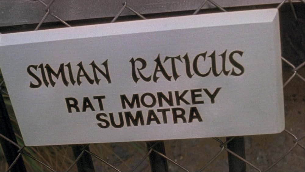 ブレインデッドの画像