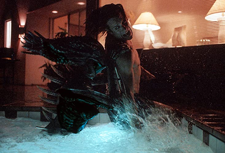 シンデレラ・ストーリーの画像