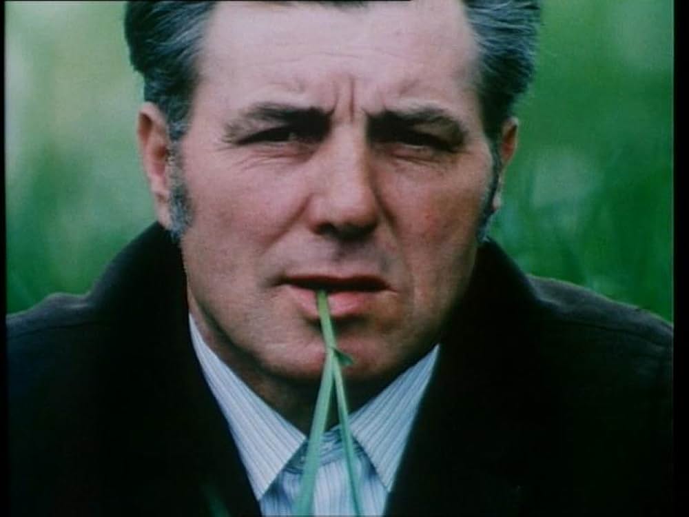 ある夜警の視点からの写真