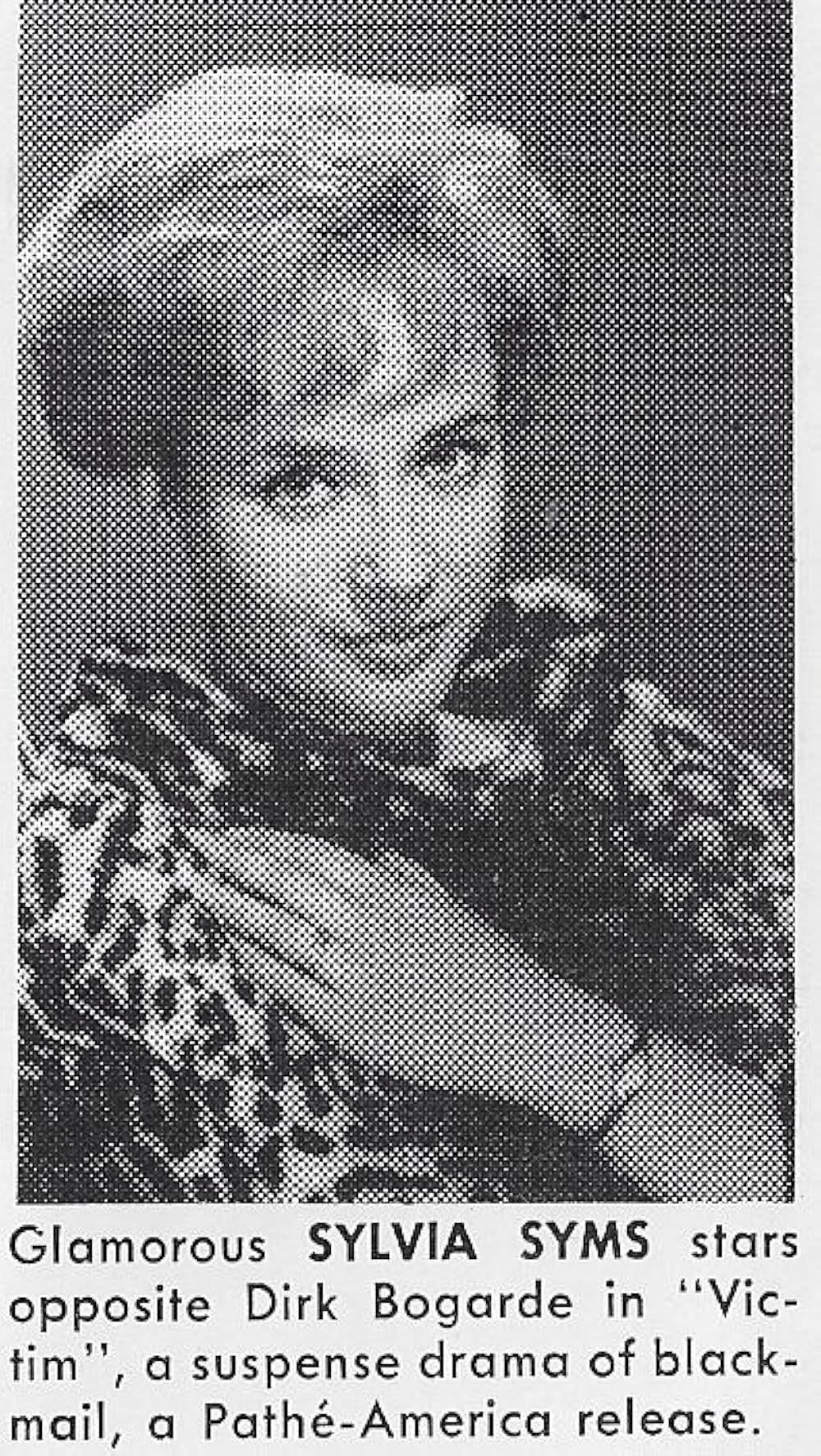 Victim（原題）の画像