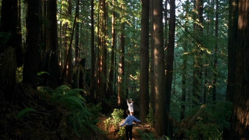 フンボルト・カウンティの写真