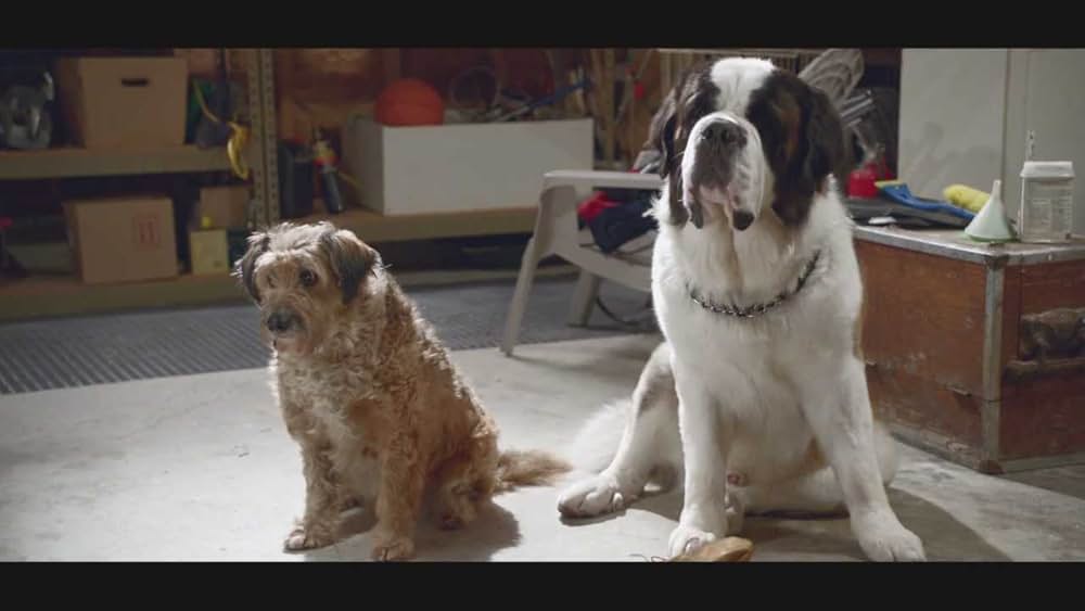 Beethoven's christmas adventure（原題）の画像