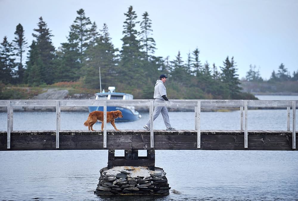 警察署長ジェッシイ・ストーン 奪われた純真の画像