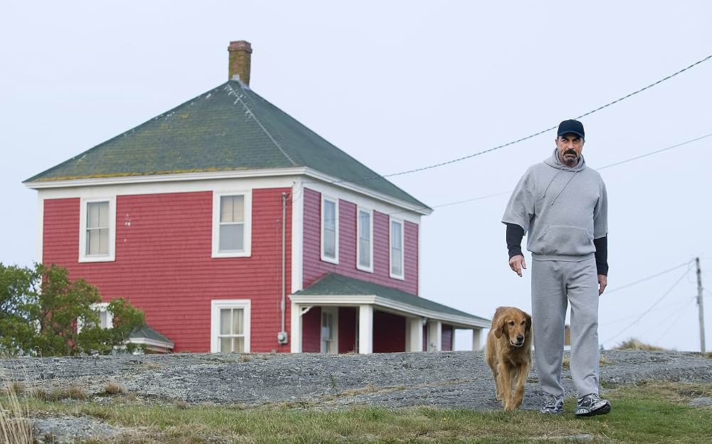 警察署長ジェッシイ・ストーン 奪われた純真の画像