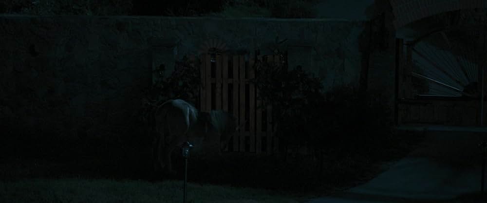 Death of a Unicorn（原題）の画像