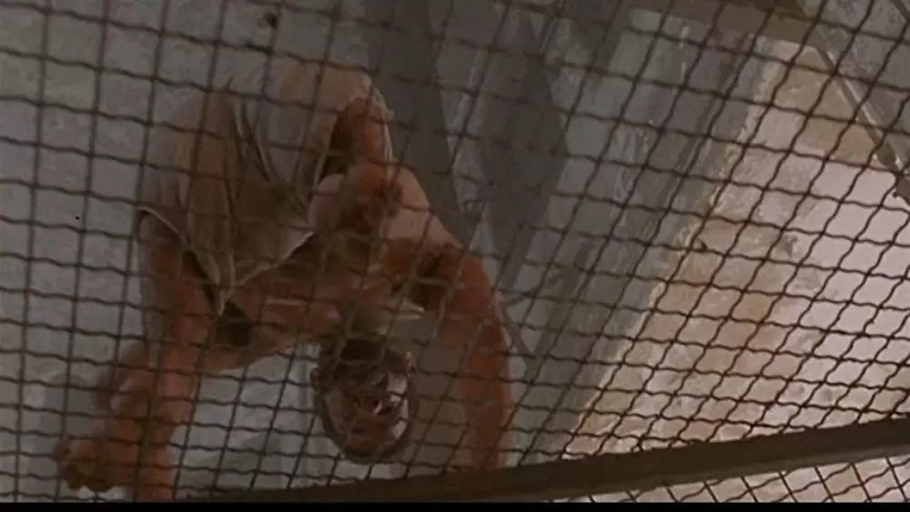 ジェイコブス・ラダーの画像