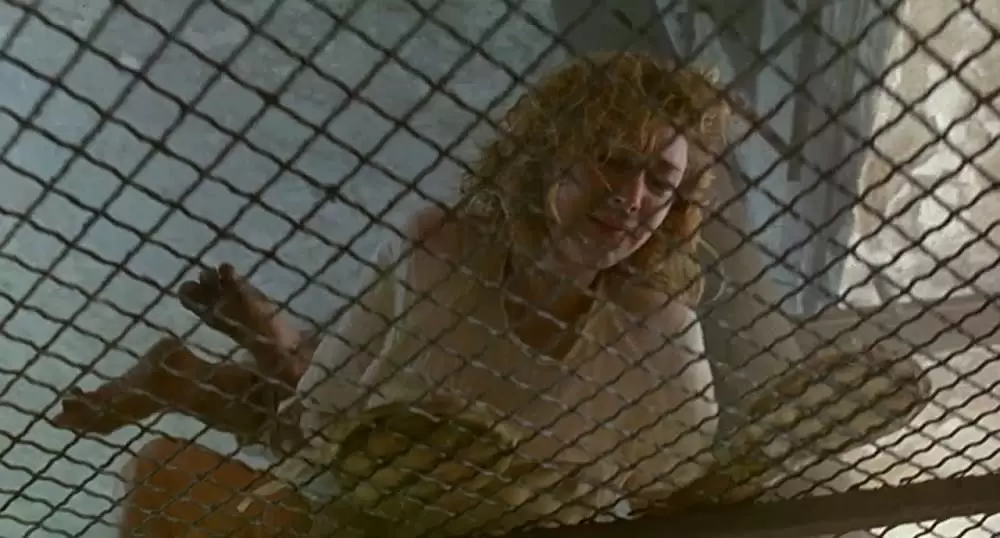 ジェイコブス・ラダーの画像