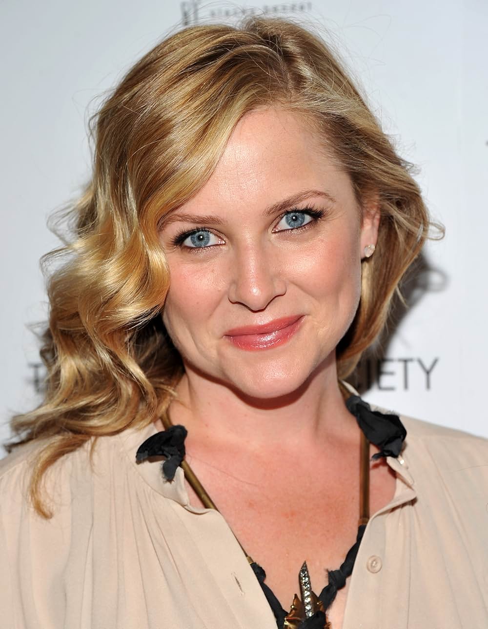 最低で最高のサリーの画像