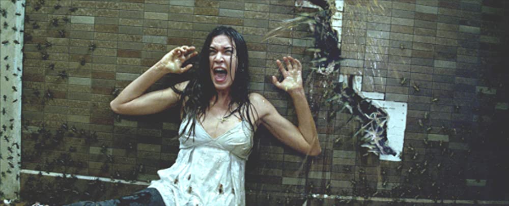 アンボーンの画像