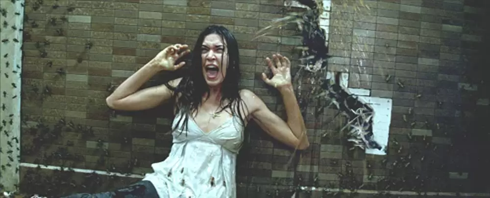 アンボーンの画像