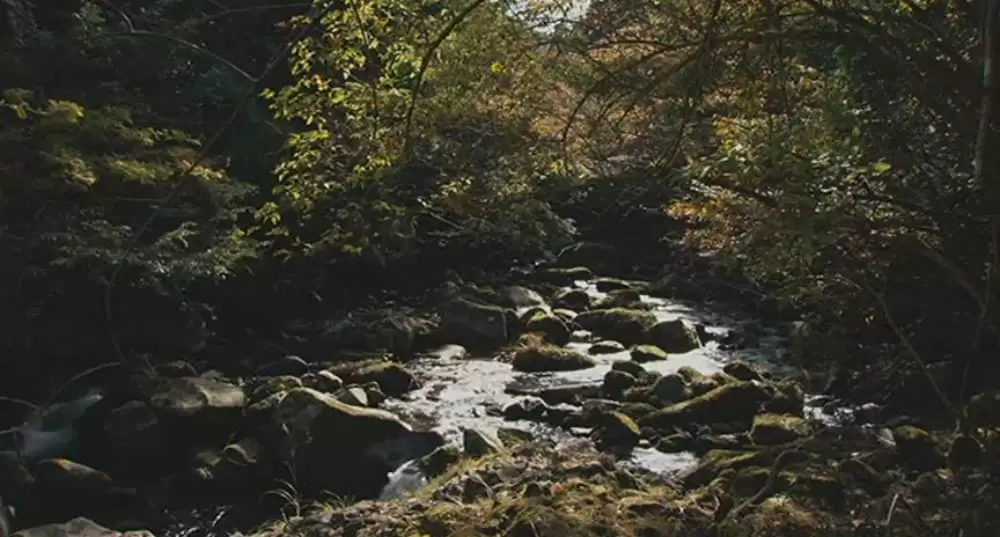 わが母の記の画像