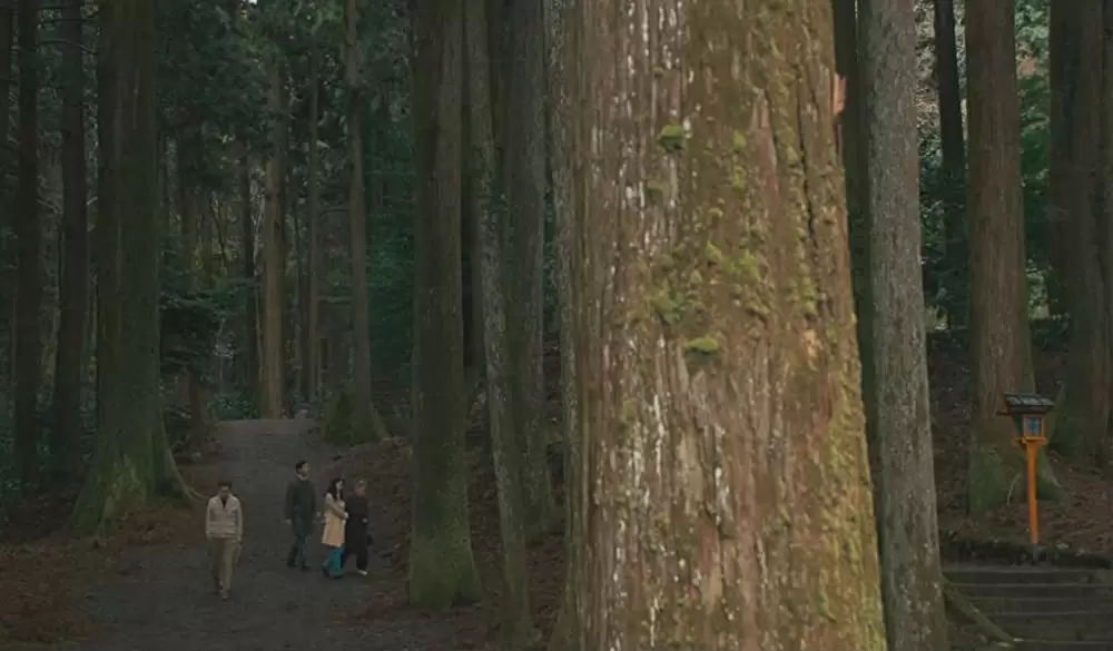 わが母の記の画像