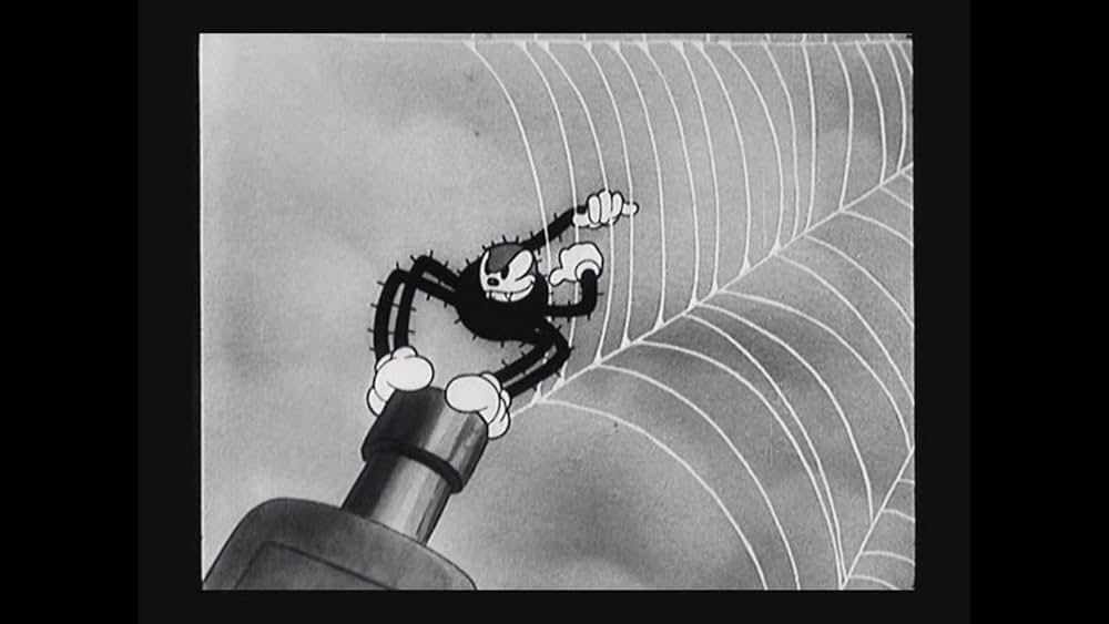 クモとハエの写真