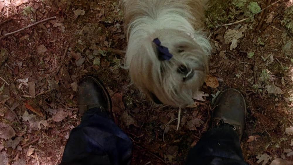 13日の金曜日PART2の画像