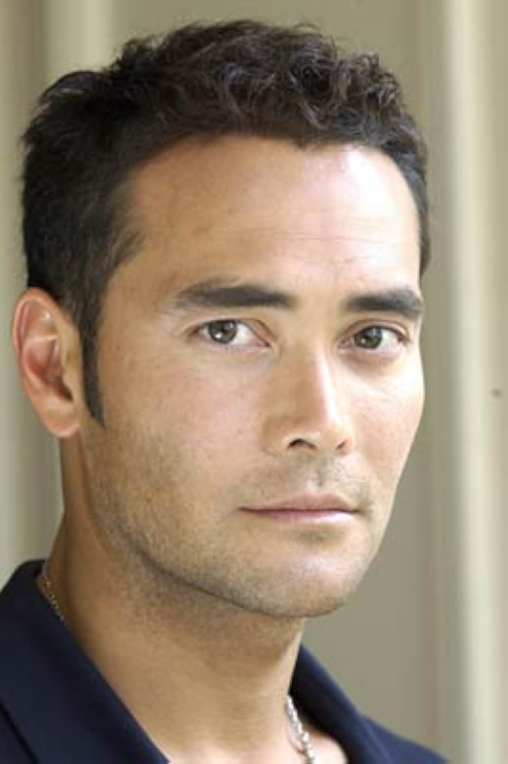 ジェヴォーダンの獣の画像