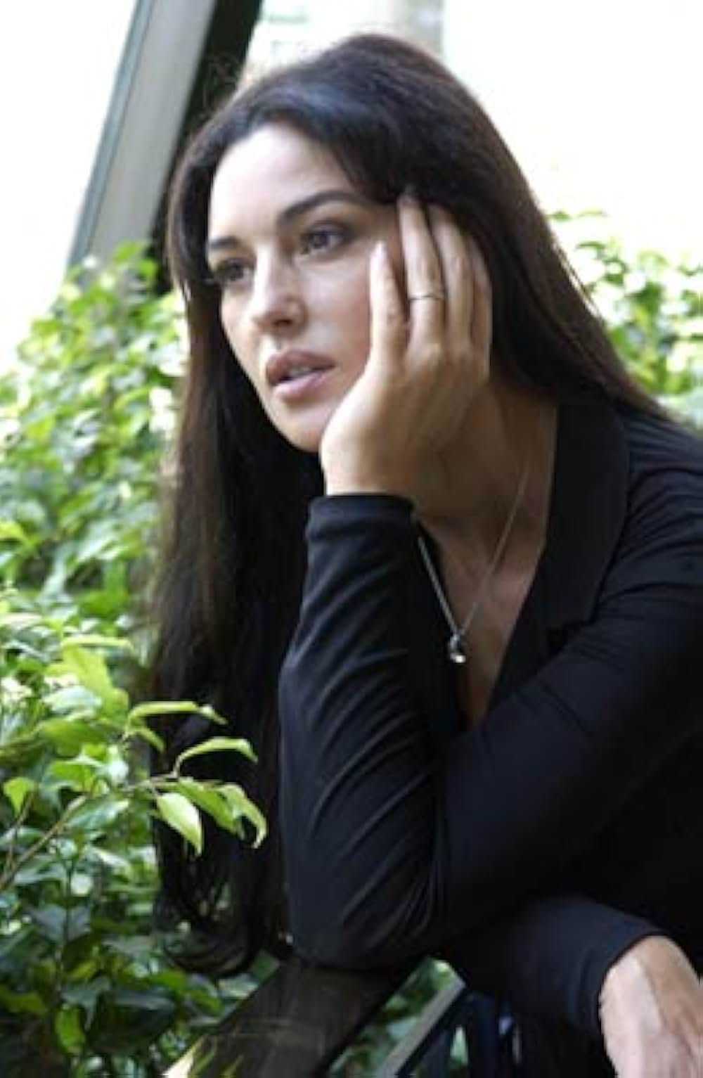 ジェヴォーダンの獣の画像