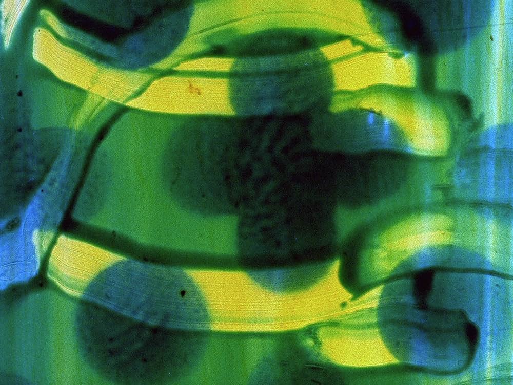 カラー･ボックスの画像