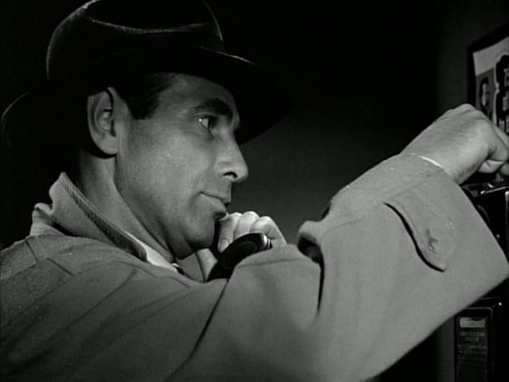 見知らぬ訪問者の画像