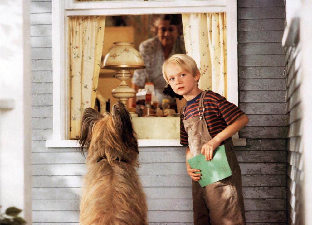 わんぱくデニスの画像