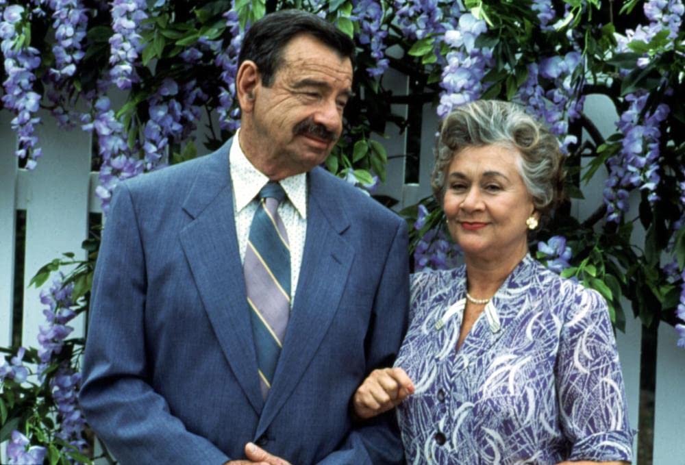 わんぱくデニスの画像