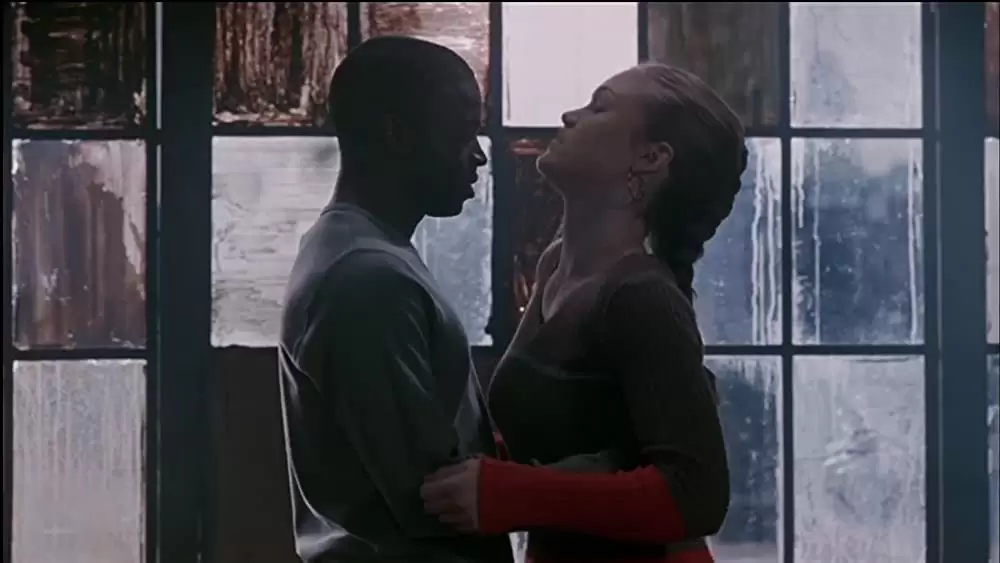 「セイブ・ザ・ラストダンス」ジュリア・スタイルズ & ショーン・パトリック・トーマスの画像