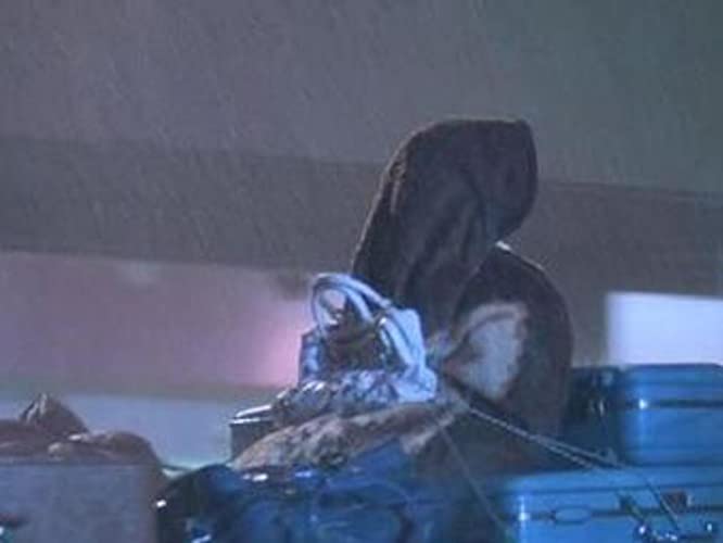 ホリデーロード4000キロの画像