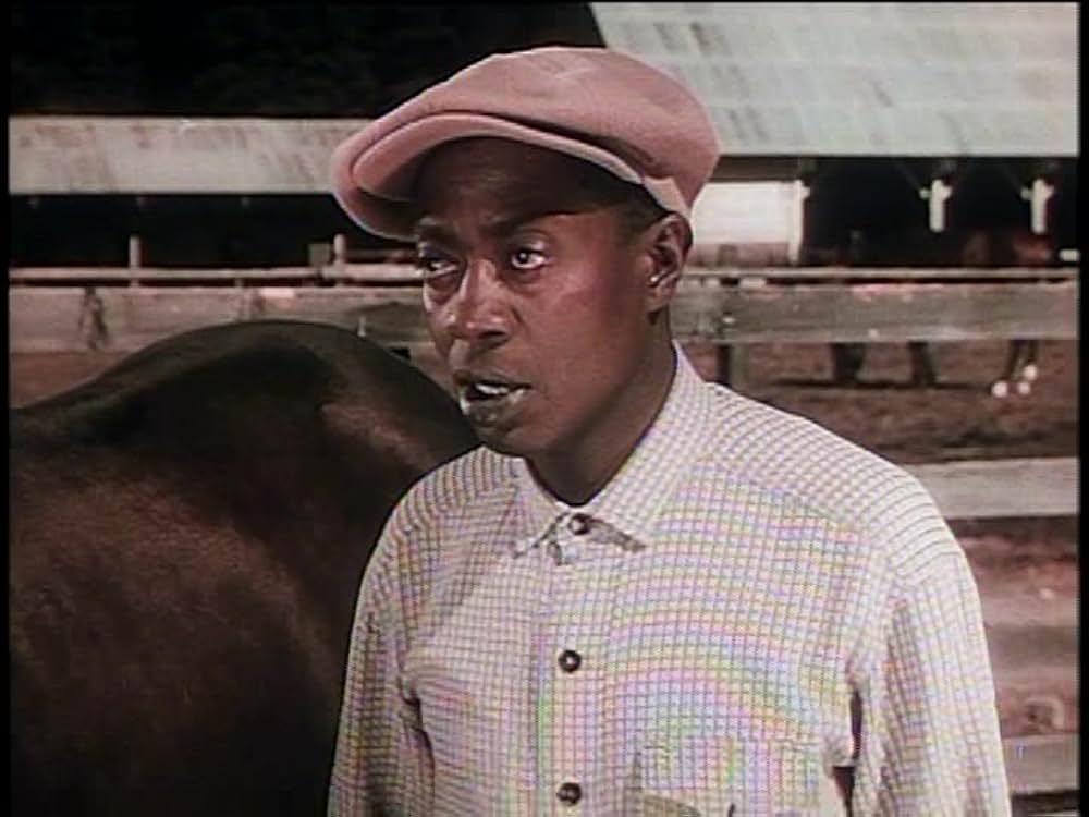 レッド・スタリオン／荒原の凱歌の画像