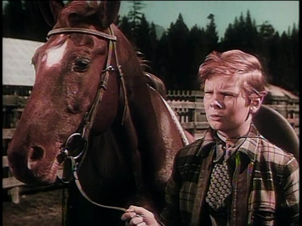 レッド・スタリオン／荒原の凱歌の画像